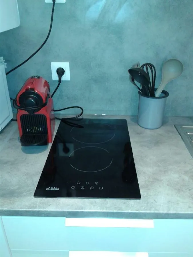 Apartment Ducs Insolite Chambery